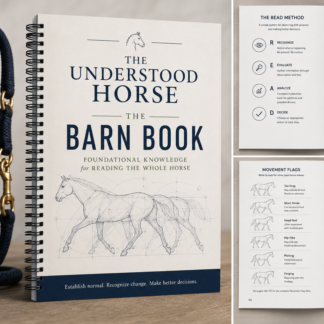 The Understood Horse: The Barn Book: Foundational knowledge for reading the whole horse